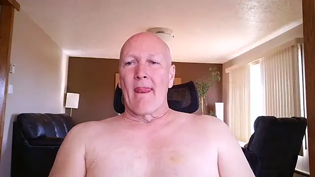 BasicAnt online show from 3, 5, 2026