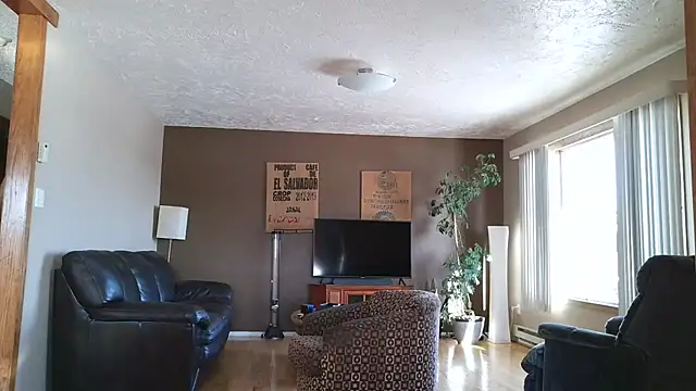 BasicAnt online show from 11, 1, 2026