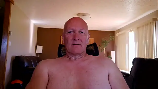 BasicAnt online show from 1, 6, 2026