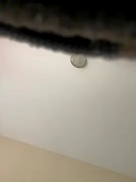 Snapshot of Iced_cloudz chatting on 14, 12, 2025 Iced cloudz online show from 14, 12, 2025