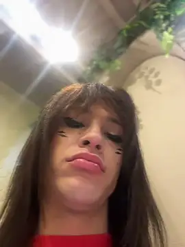 stormytt  online show from 12, 1, 2026