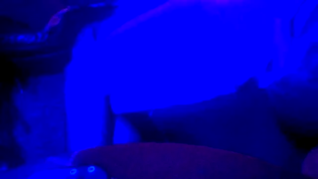 Crystalbitchx online show from 31, 10, 2025