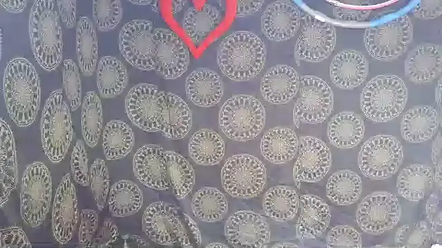 Snapshot of LunaRai chatting on 6, 2, 2026 LunaRai online show from 6, 2, 2026