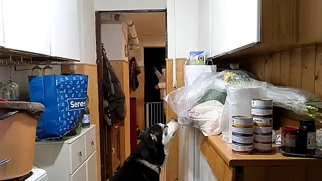 VanessaDoyle online show from 20, 2, 2026