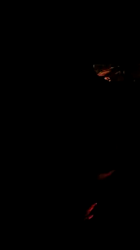 Roberts8inchcock online show from 27, 11, 2025