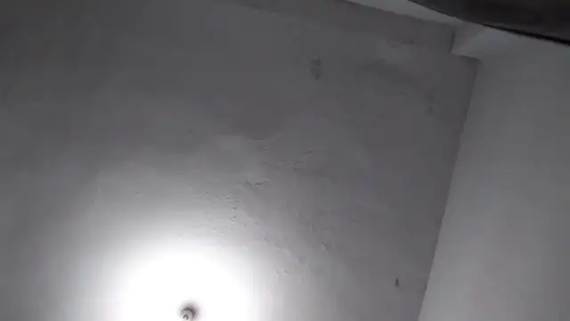 Jigolo mustafa online show from 1, 12, 2025