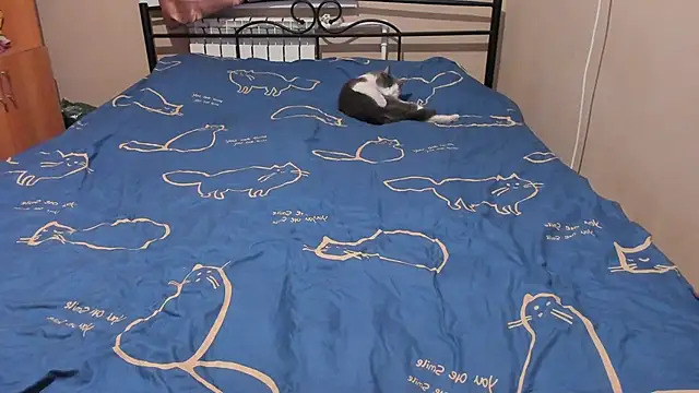 eva zero online show from 17, 12, 2025