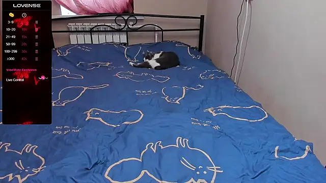 eva zero online show from 3, 11, 2025