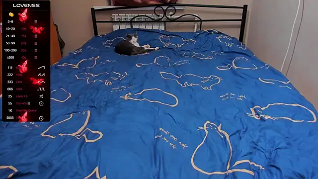 eva zero online show from 5, 10, 2025