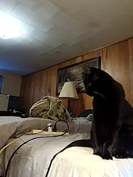 OralDesires2 online show from 19, 12, 2025