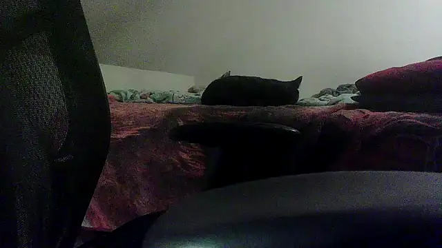 OralDesires2 online show from 19, 2, 2025