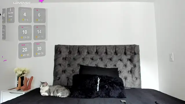 sweet  wild online show from 10, 2, 2026