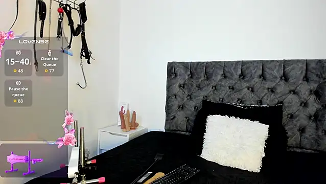 sweet  wild online show from 11, 11, 2025