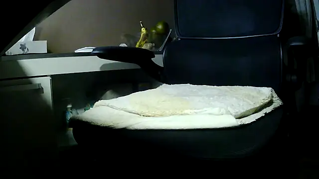 suedel65 online show from 10, 1, 2026