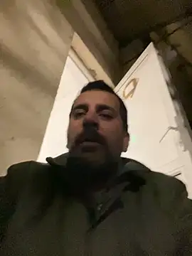 TigerOne19 online show from 7, 11, 2025