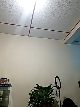 kelly dirty  online show from 8, 11, 2025