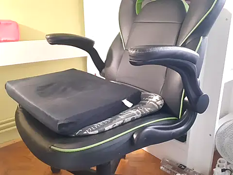 feathersify online show from 29, 9, 2025