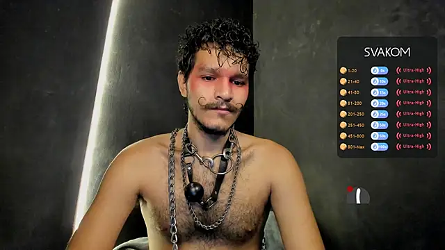 die mond online show from 13, 11, 2025