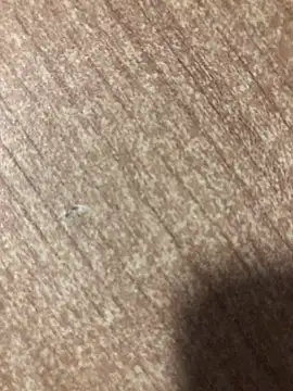 gokhanbey34 online show from 2, 10, 2025