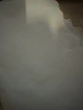 gokhanbey34 online show from 17, 3, 2026