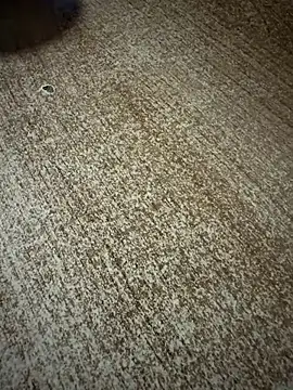 gokhanbey34 online show from 9, 1, 2026