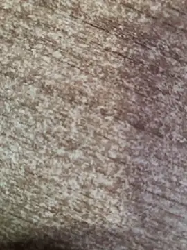 gokhanbey34 online show from 8, 10, 2025