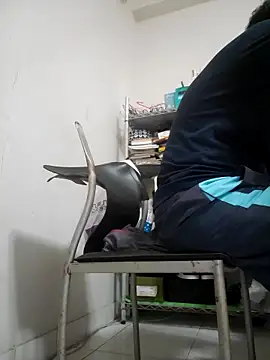 ksshp9502 online show from 4, 11, 2025