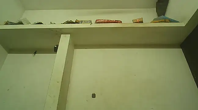 Akhilamolu the transsissy online show from 8, 2, 2025