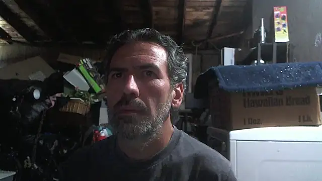 Anarchy Burger online show from 13, 3, 2026