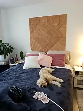 Snapshot of Ellie-L-Elizabeth chatting on 26, 2, 2026 Ellie-L-Elizabeth online show from 26, 2, 2026