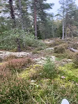 Snapshot of Andreashow chatting on 26, 9, 2025 Andreashow online show from 26, 9, 2025