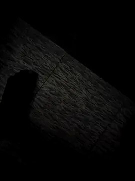 tamil202 online show from 30, 11, 2025