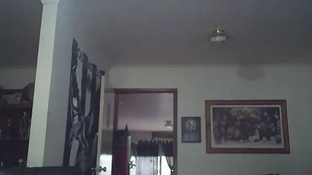 HOTANAL online show from 7, 11, 2025