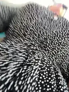 CrazzyChicks online show from 9, 7, 2026