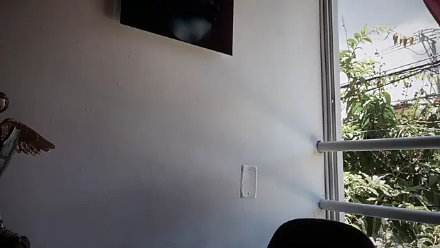 romeolovedark online show from 15, 9, 2025