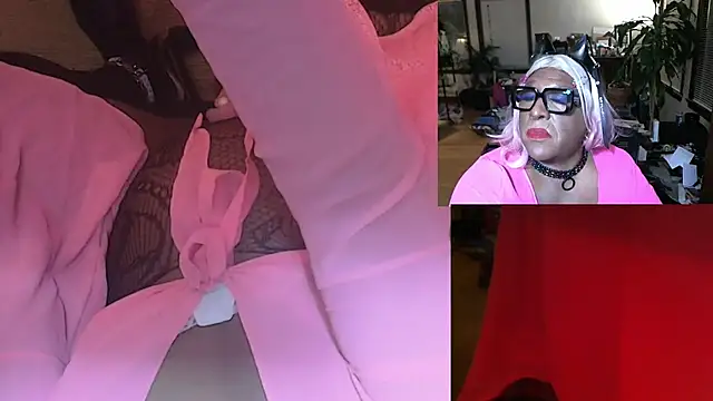 Gray-Platinum-Orchid online show from 1, 1, 2025