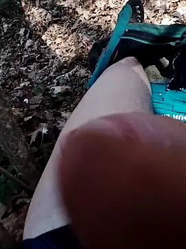 krapan online show from 7, 4, 2026