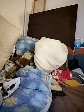 vice0818 online show from 4, 4, 2026