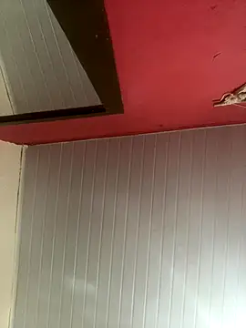 pimenta gaby online show from 30, 11, 2025