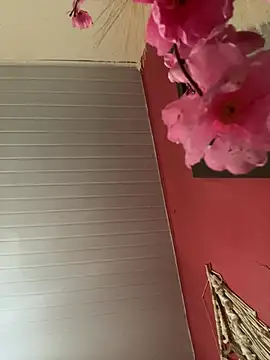 pimenta gaby online show from 17, 4, 2026