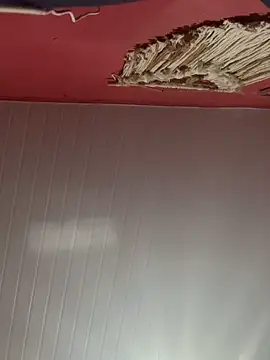 pimenta gaby online show from 28, 10, 2025