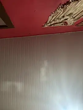 pimenta gaby online show from 8, 3, 2026