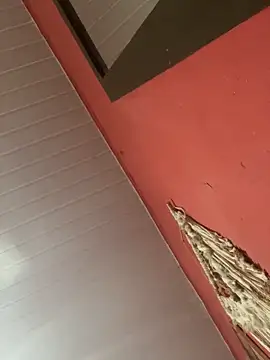 pimenta gaby online show from 4, 11, 2025