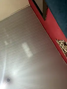 pimenta gaby online show from 14, 11, 2025