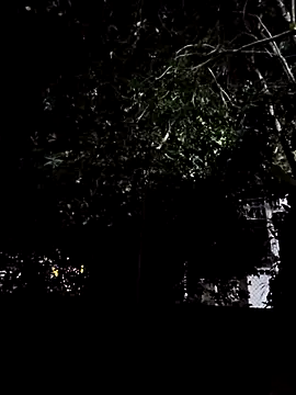 Yuky ta online show from 3, 3, 2025