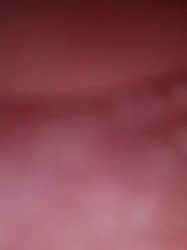 Mexicandeleon99 online show from 11, 3, 2026