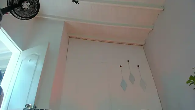 swt-booty online show from 18, 10, 2025