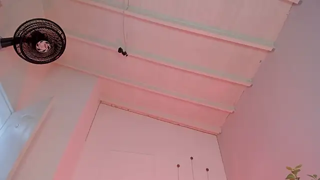 swt-booty online show from 19, 11, 2025