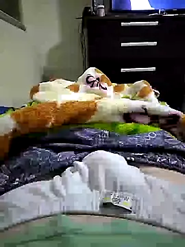 Snapshot of shiiank chatting on 17, 7, 2026 shiiank online show from 17, 7, 2026