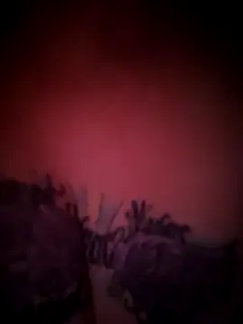 Snapshot of julimonroe chatting on 18, 2, 2026 julimonroe online show from 18, 2, 2026